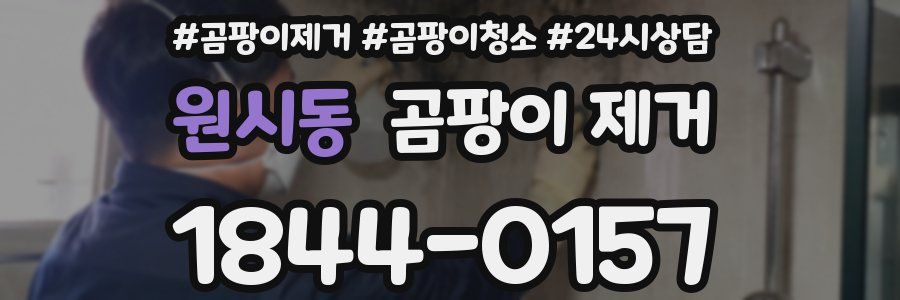 원시동 곰팡이 제거