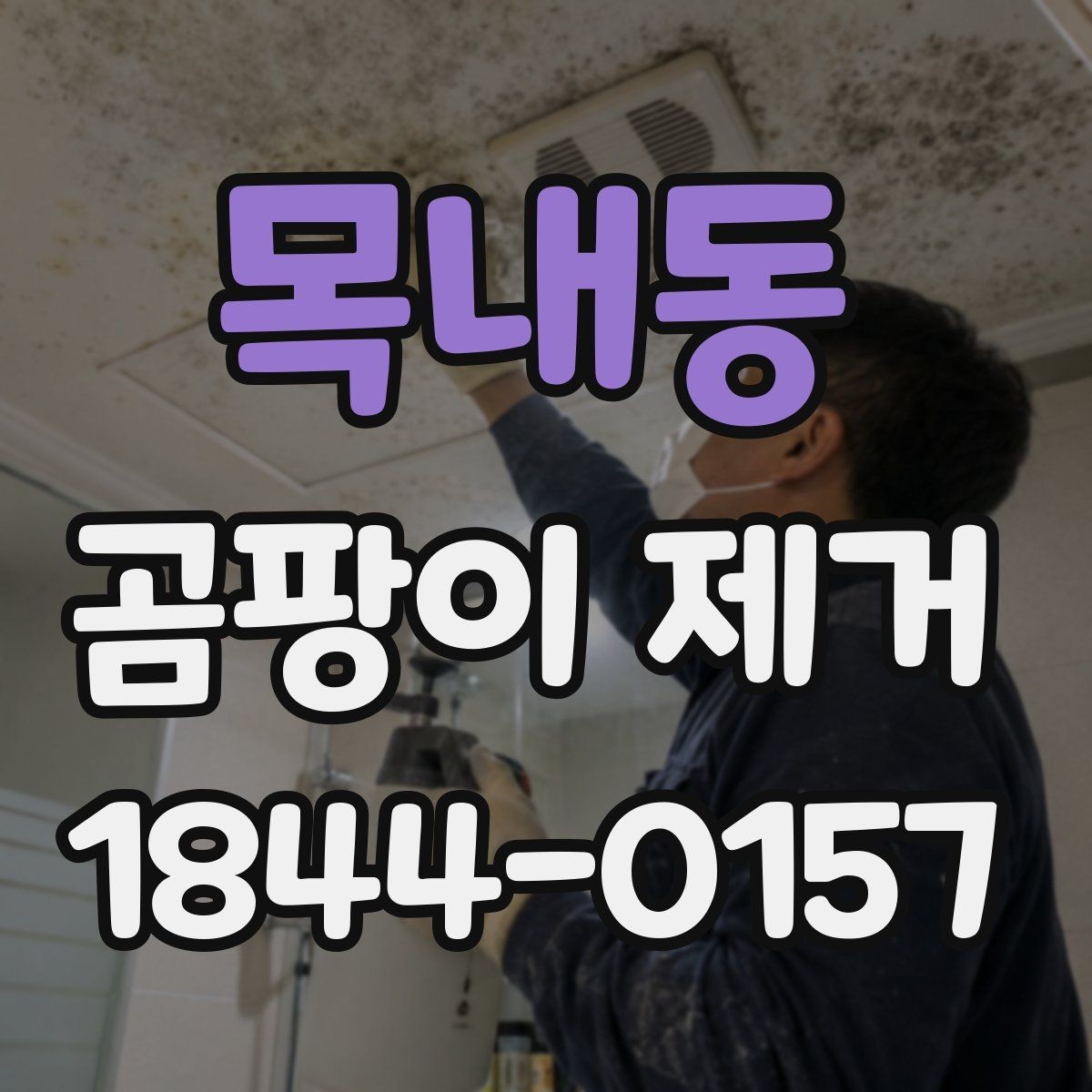 목내동 곰팡이 제거 방마다 다른 원인과 대응을 구분하는 법