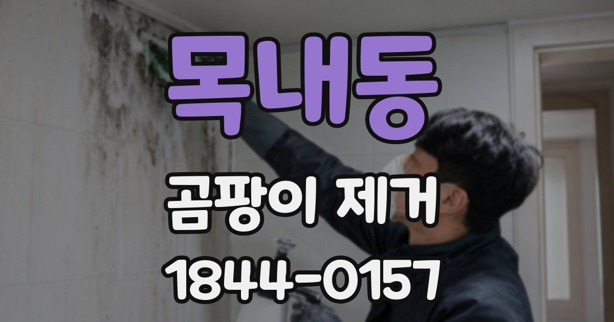 목내동 곰팡이 제거