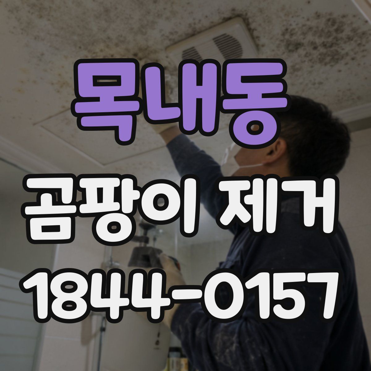 목내동 곰팡이 제거