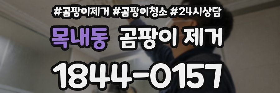 목내동 곰팡이 제거