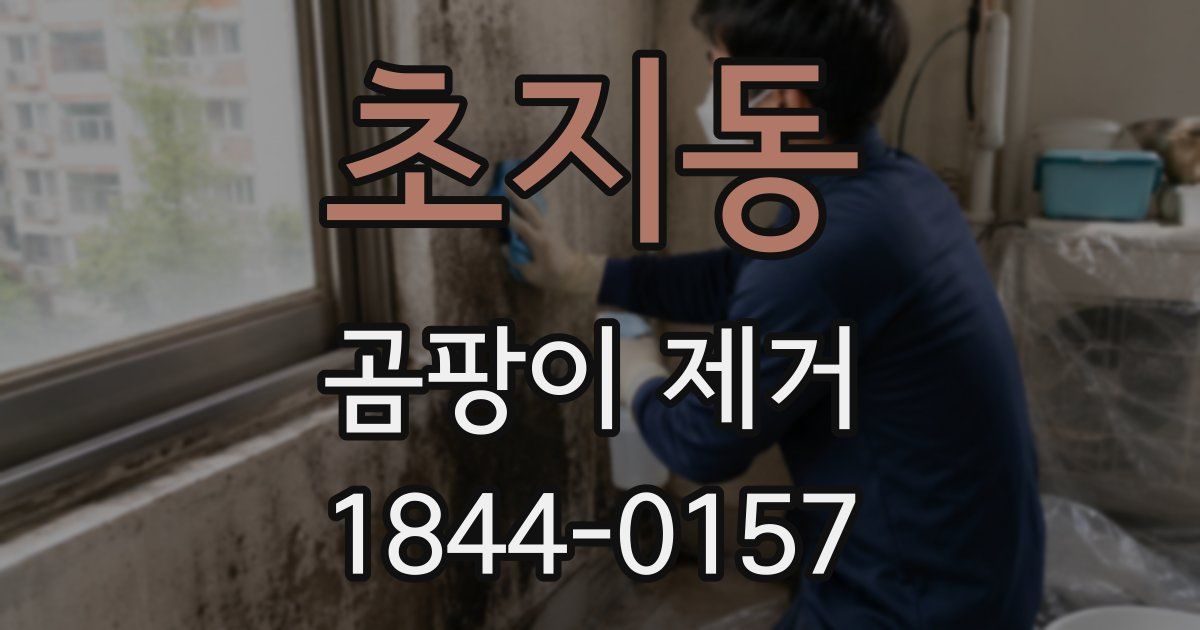 초지동 곰팡이 제거