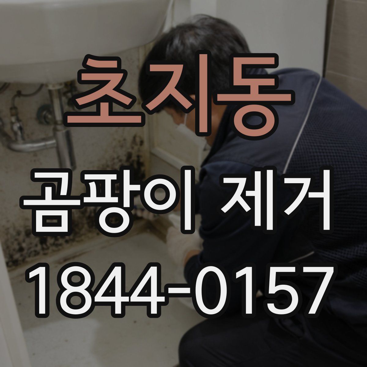 초지동 곰팡이 제거