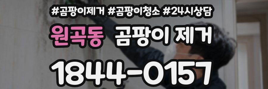 원곡동 곰팡이 제거