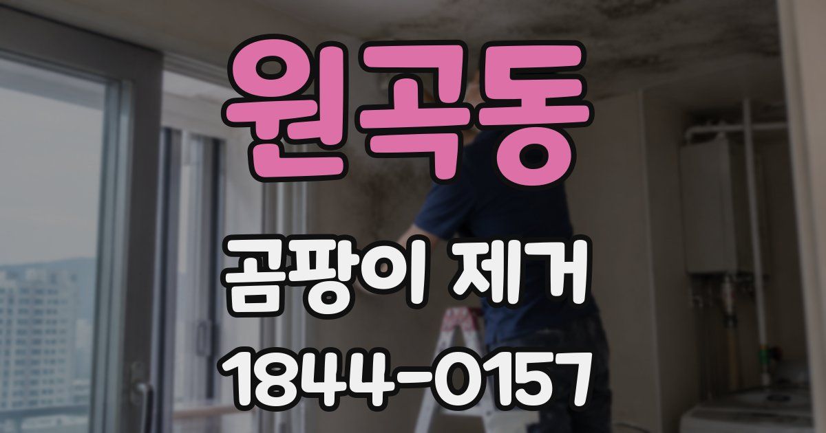 원곡동 곰팡이 제거
