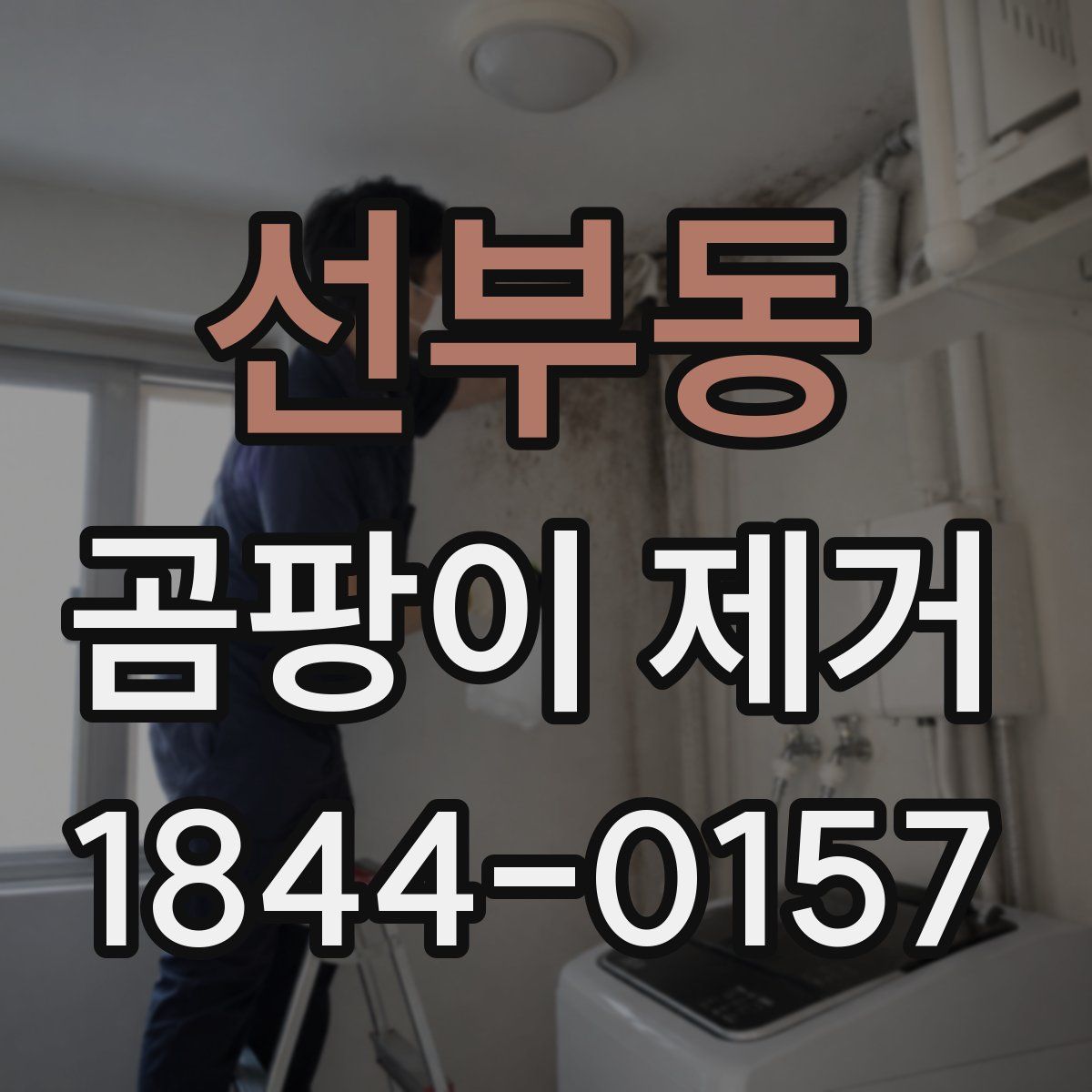 선부동 곰팡이 제거