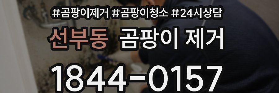 선부동 곰팡이 제거