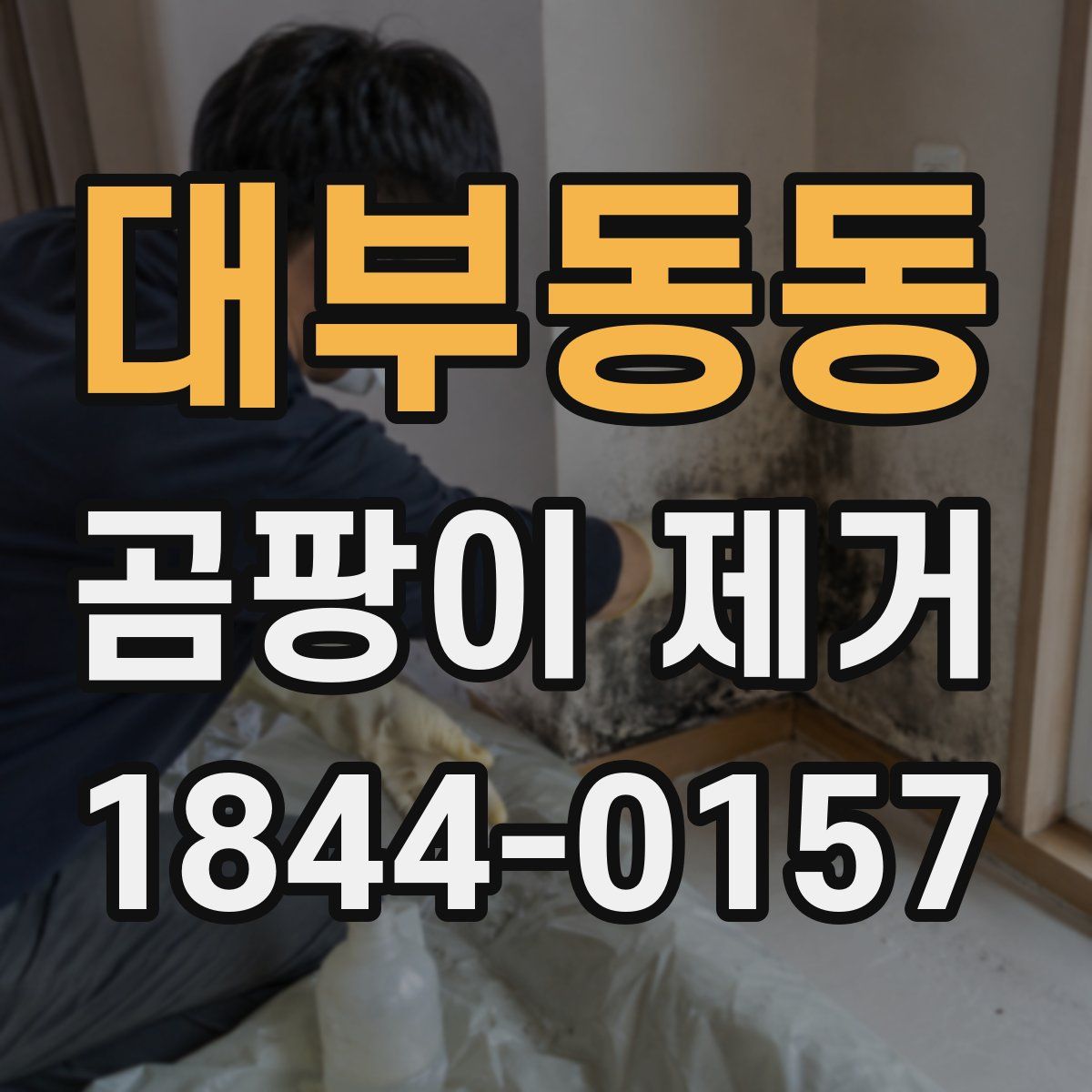 대부동동 곰팡이 제거