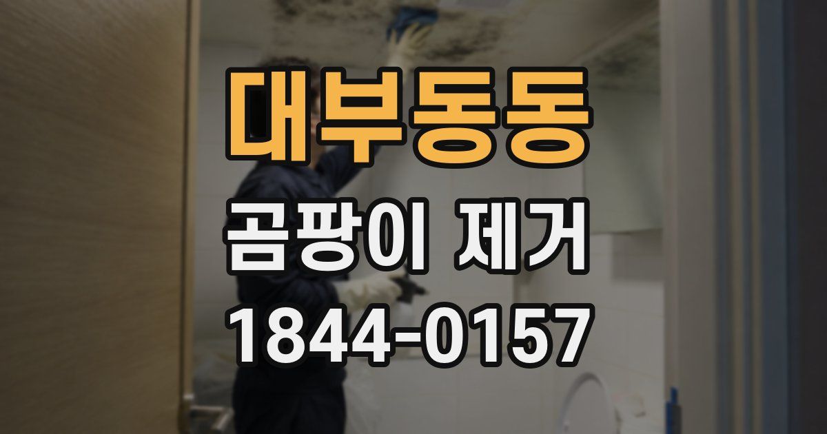 대부동동 곰팡이 제거