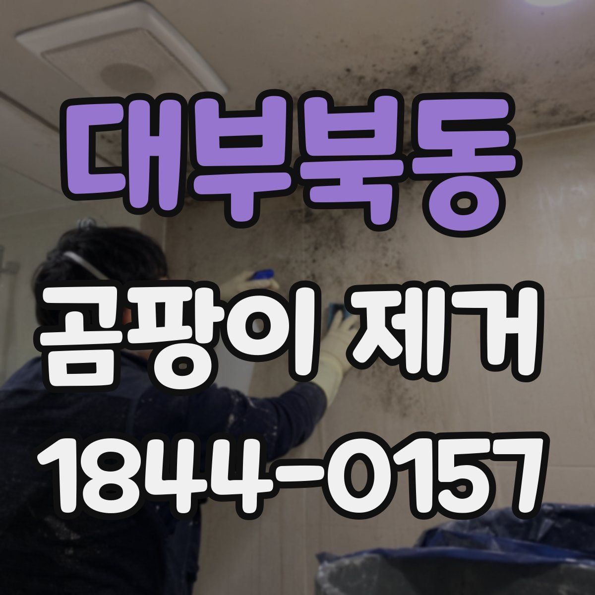 대부북동 곰팡이 제거