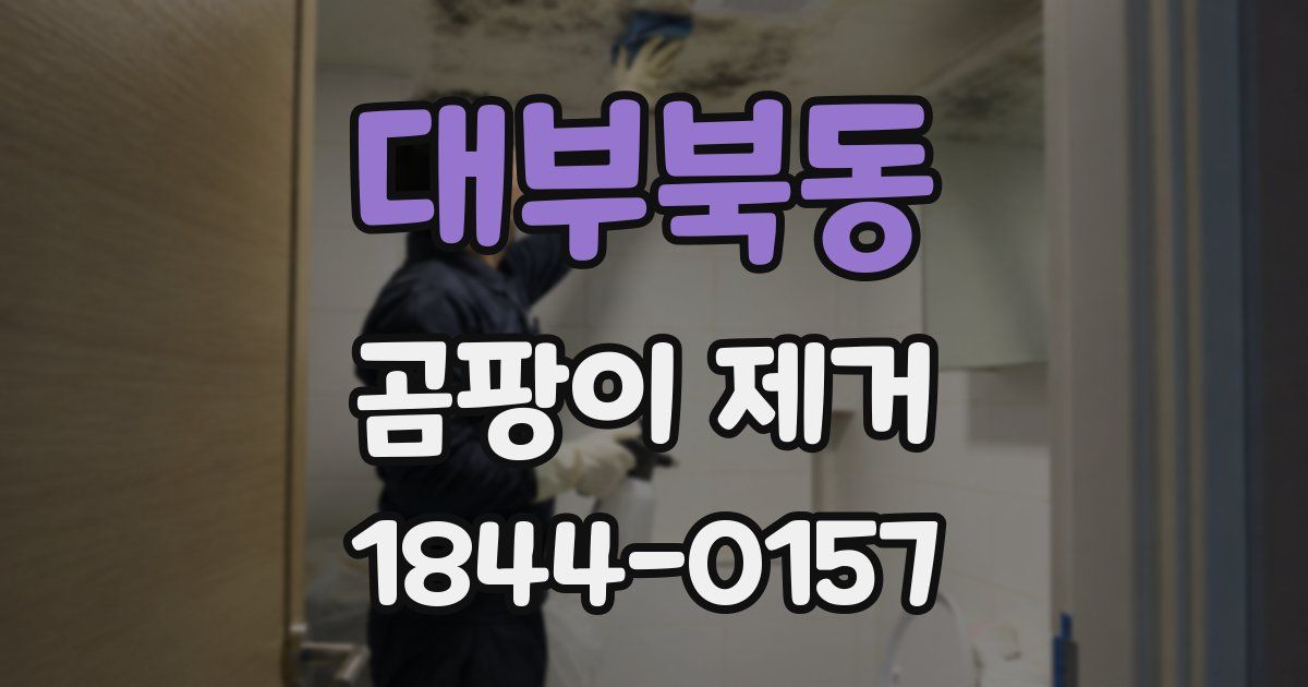 대부북동 곰팡이 제거