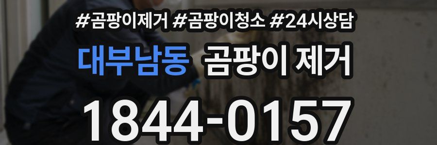 대부남동 곰팡이 제거