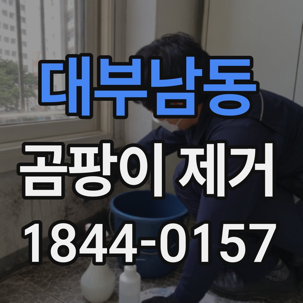 대부남동 곰팡이 제거