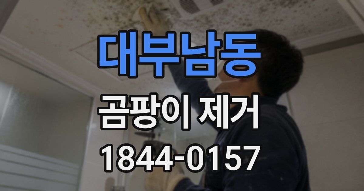 대부남동 곰팡이 제거