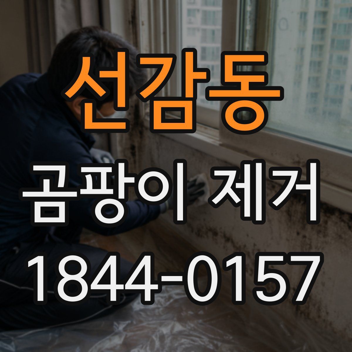 선감동 곰팡이 제거