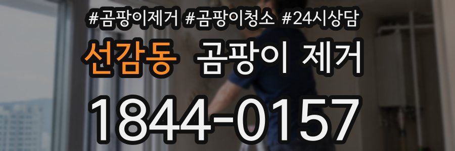 선감동 곰팡이 제거
