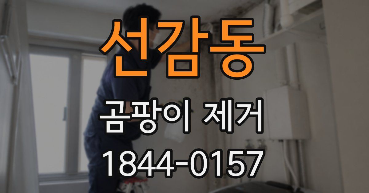 선감동 곰팡이 제거