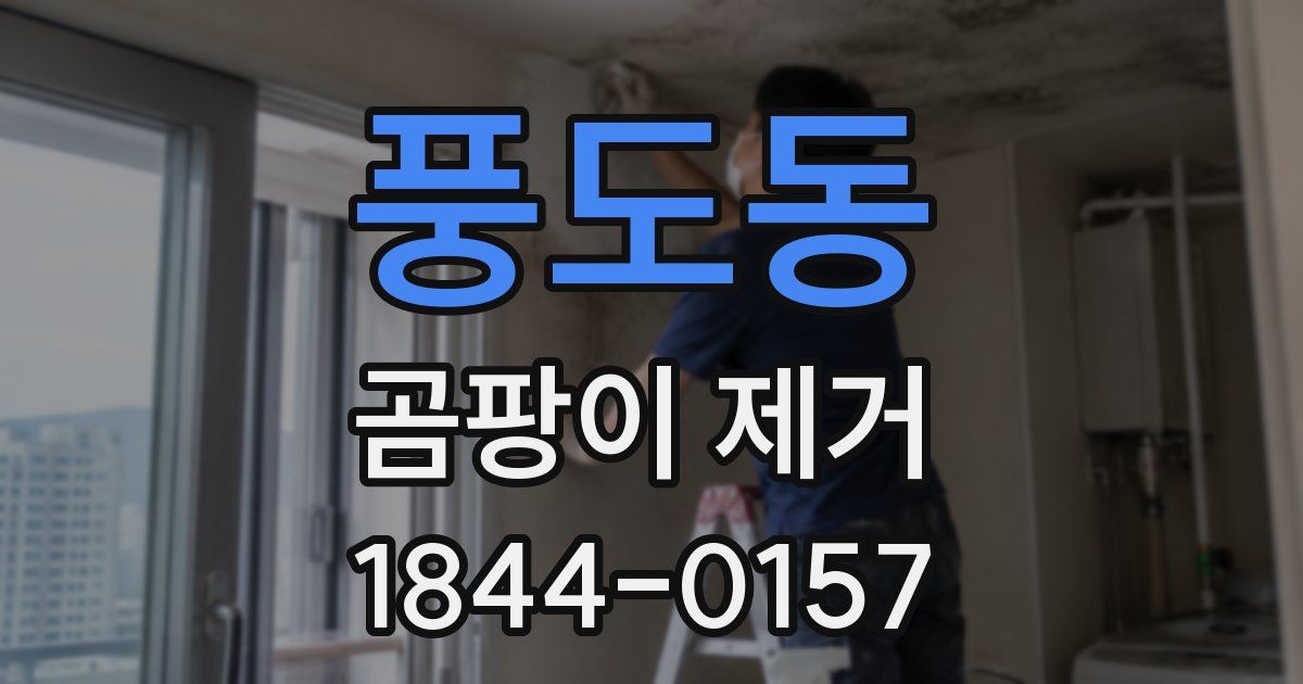 풍도동 곰팡이 제거
