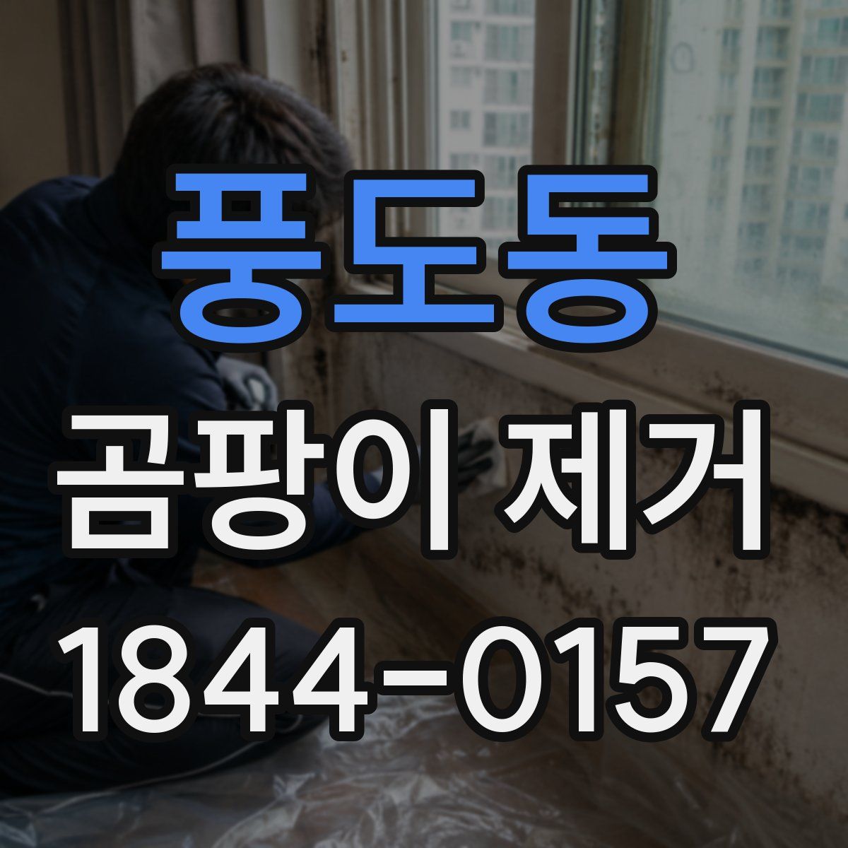 풍도동 곰팡이 제거