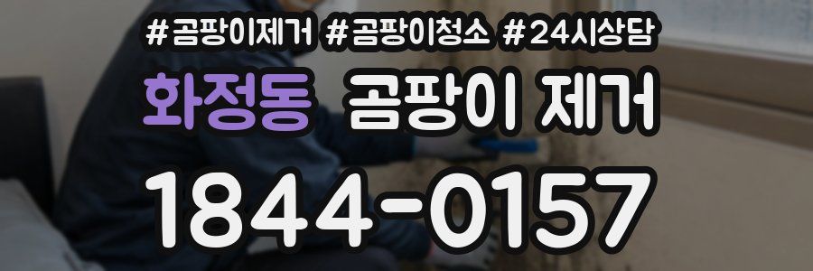 화정동 곰팡이 제거