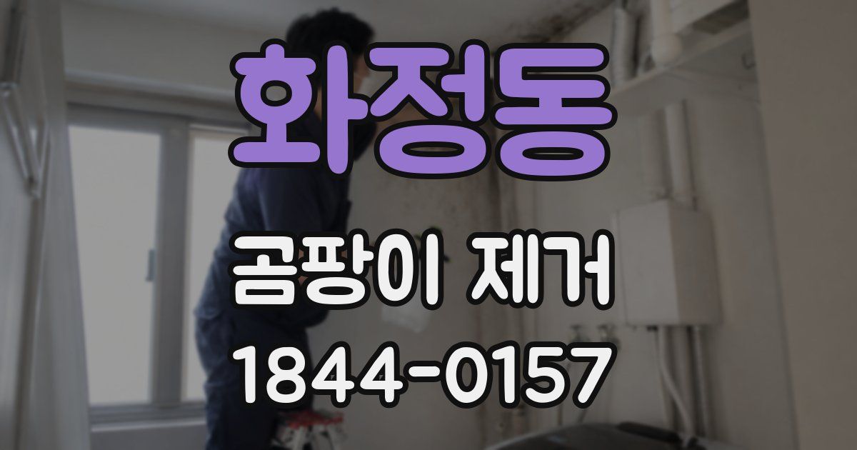 화정동 곰팡이 제거