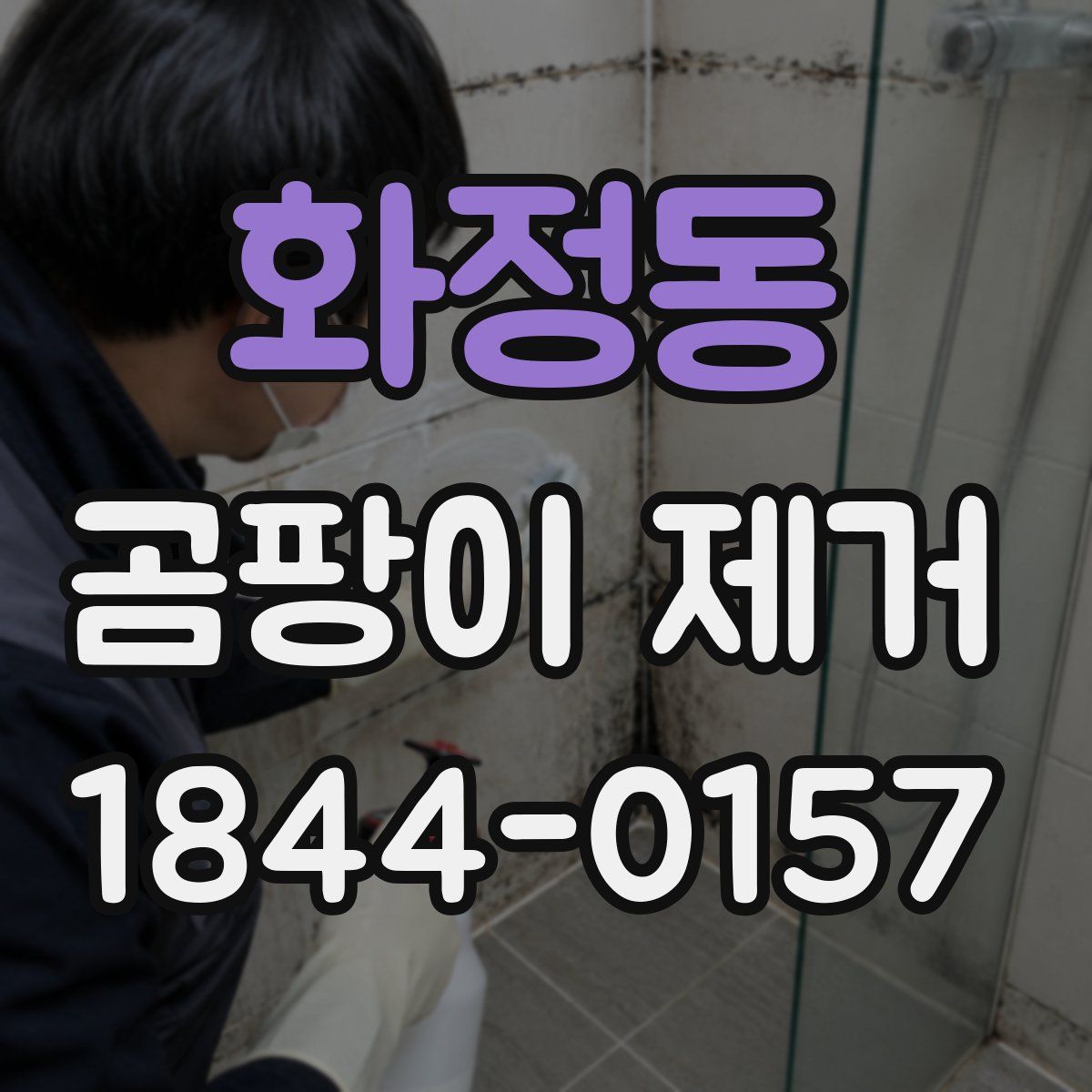 화정동 곰팡이 제거
