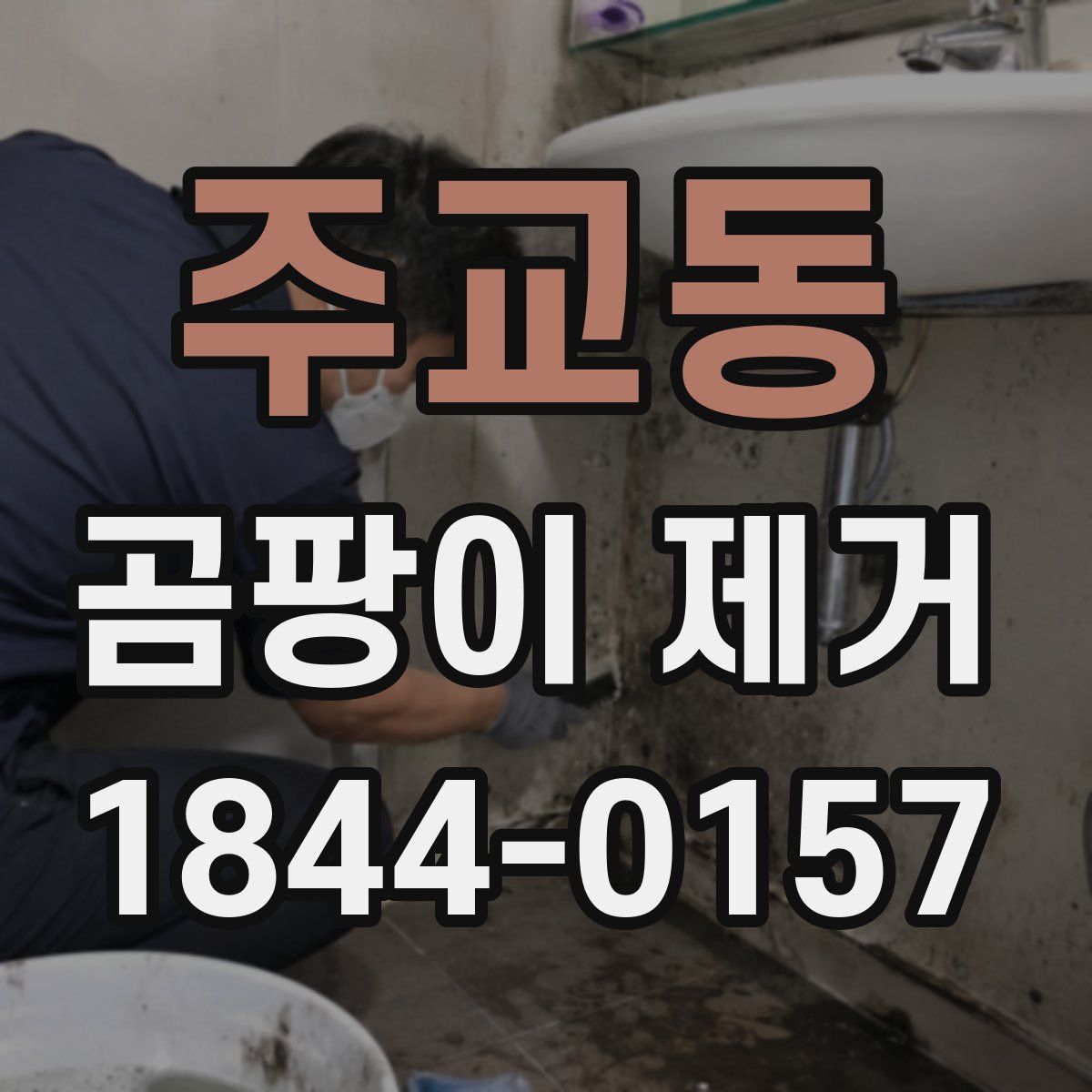 주교동 곰팡이 제거