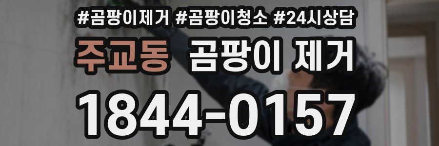 주교동 곰팡이 제거