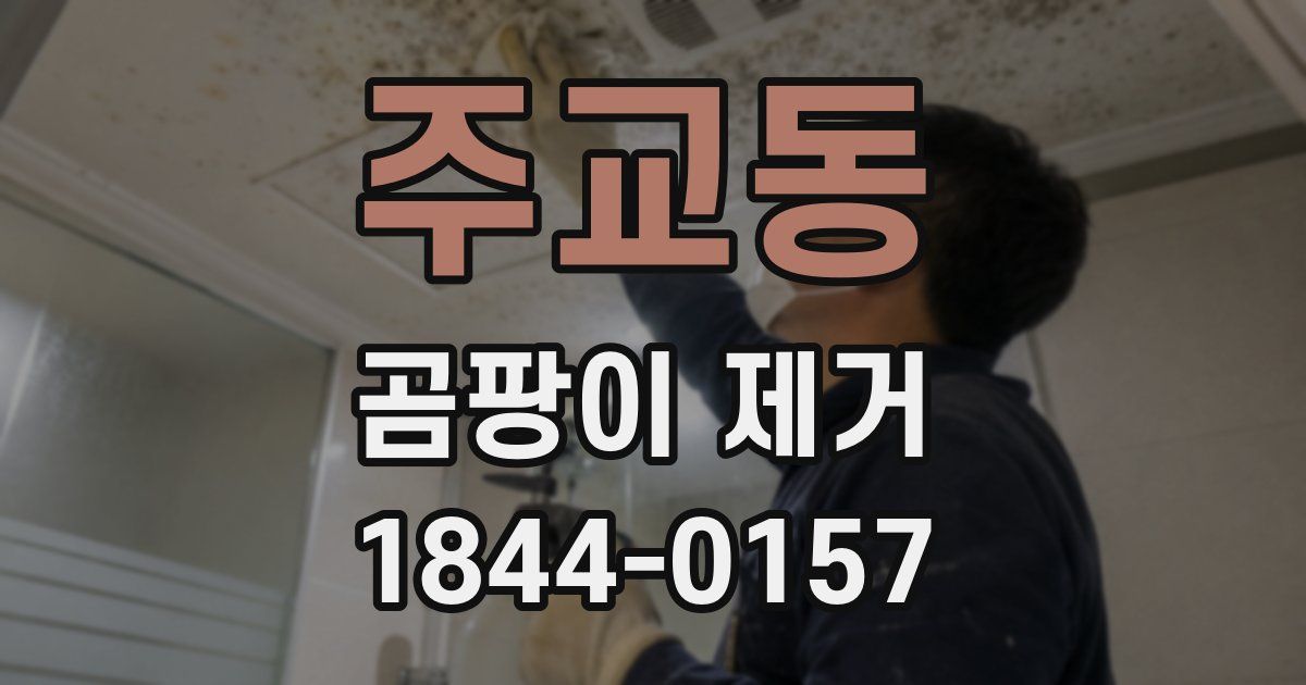 주교동 곰팡이 제거