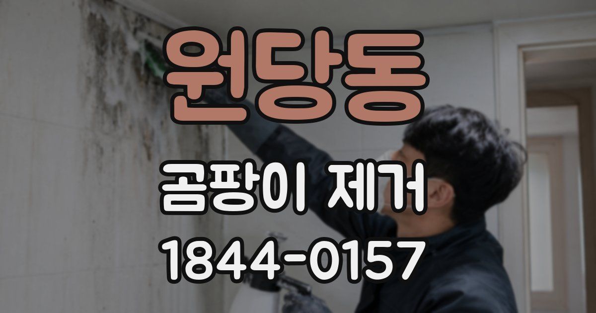 원당동 곰팡이 제거