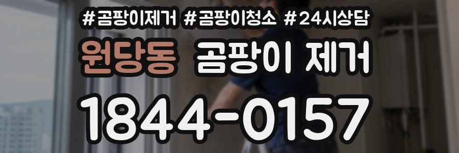 원당동 곰팡이 제거