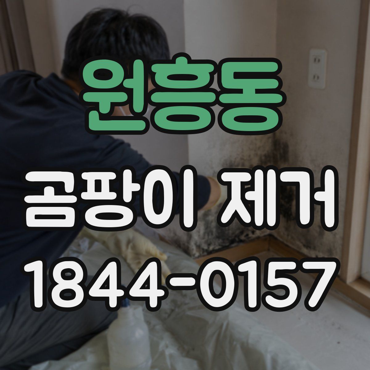 원흥동 곰팡이 제거
