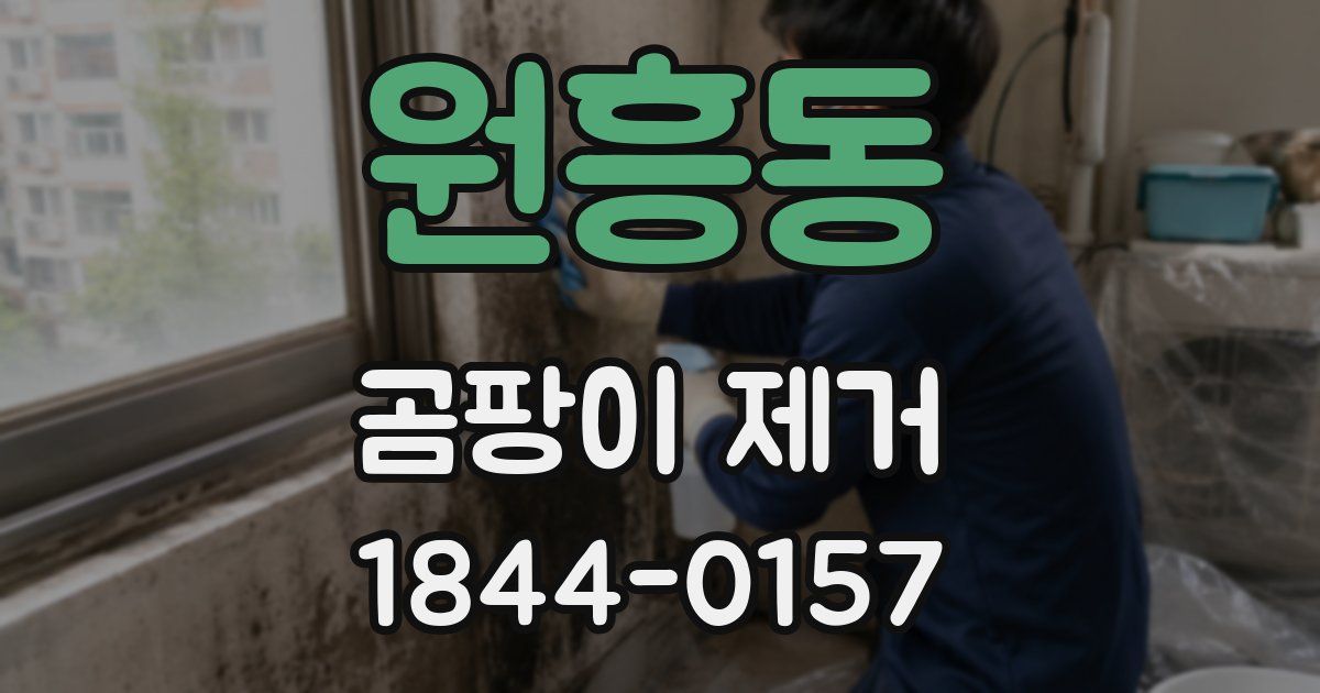 원흥동 곰팡이 제거