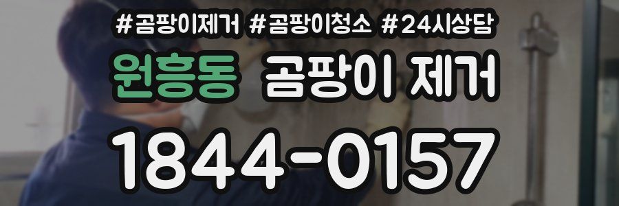 원흥동 곰팡이 제거