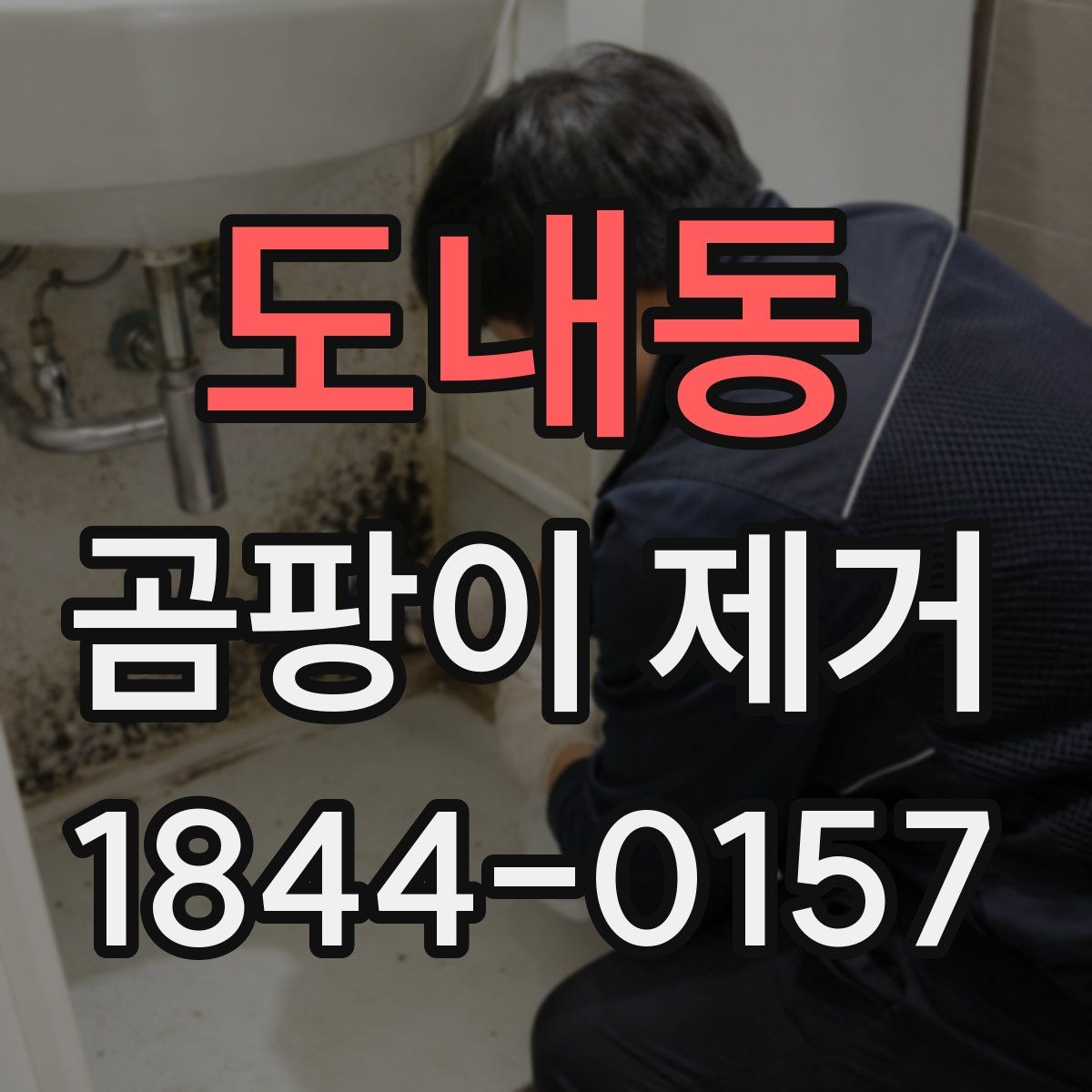 도내동 곰팡이 제거