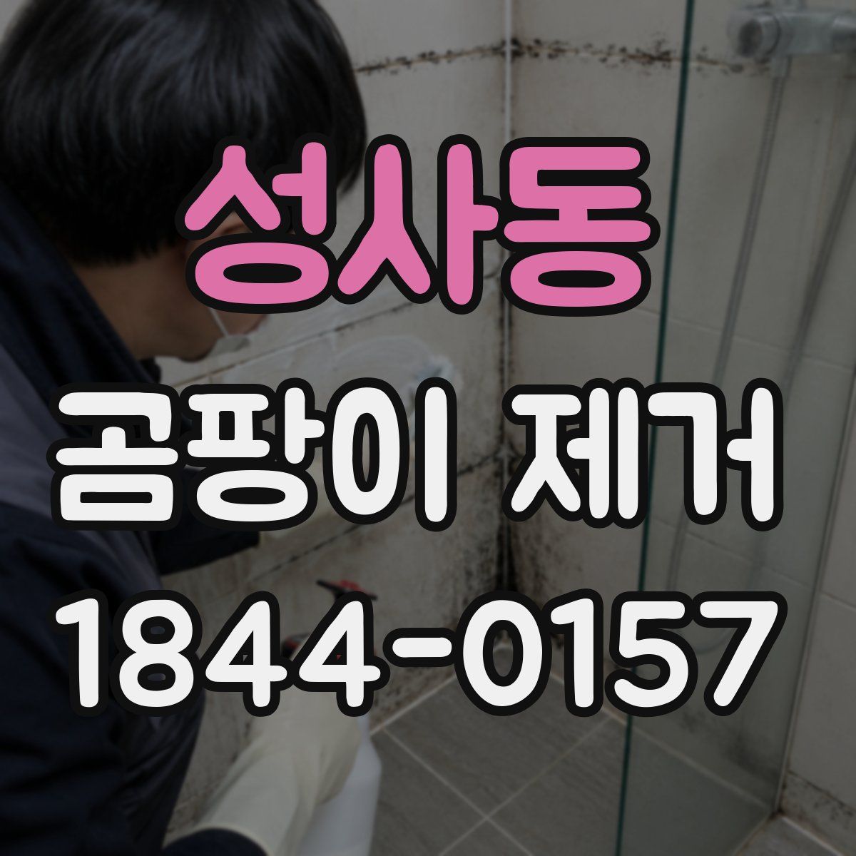 성사동 곰팡이 제거