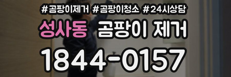 성사동 곰팡이 제거