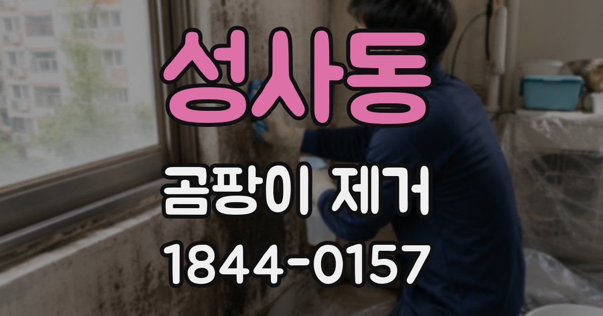 성사동 곰팡이 제거