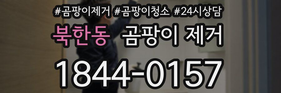 북한동 곰팡이 제거