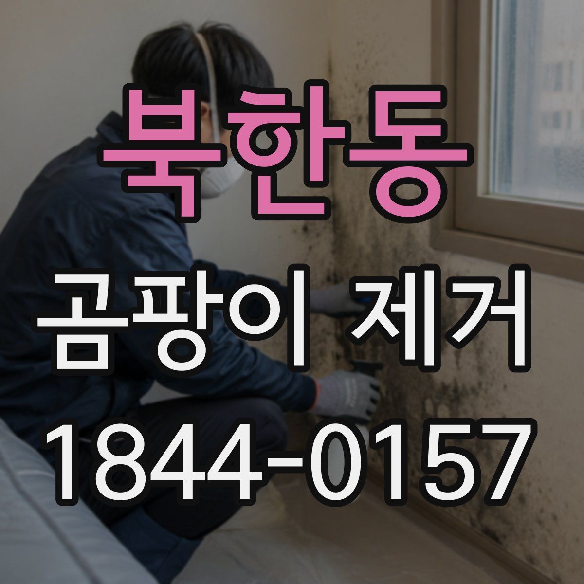 북한동 곰팡이 제거