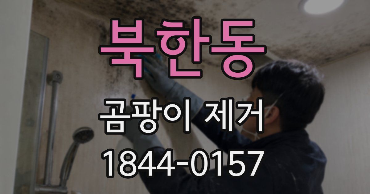 북한동 곰팡이 제거