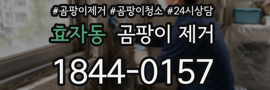 효자동 곰팡이 제거