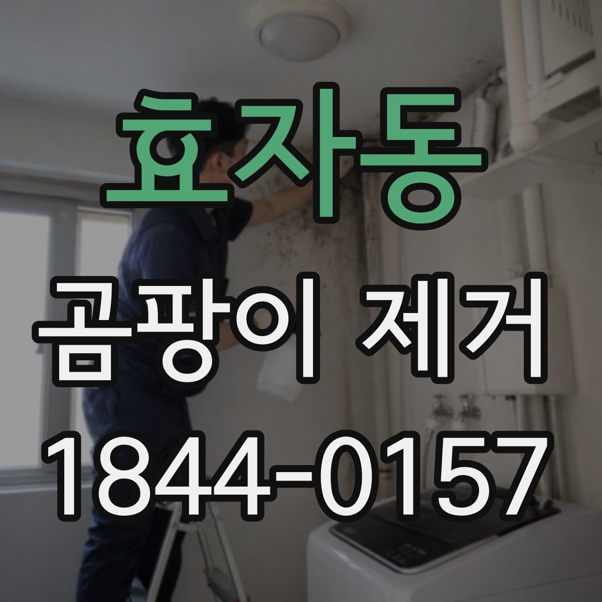 효자동 곰팡이 제거