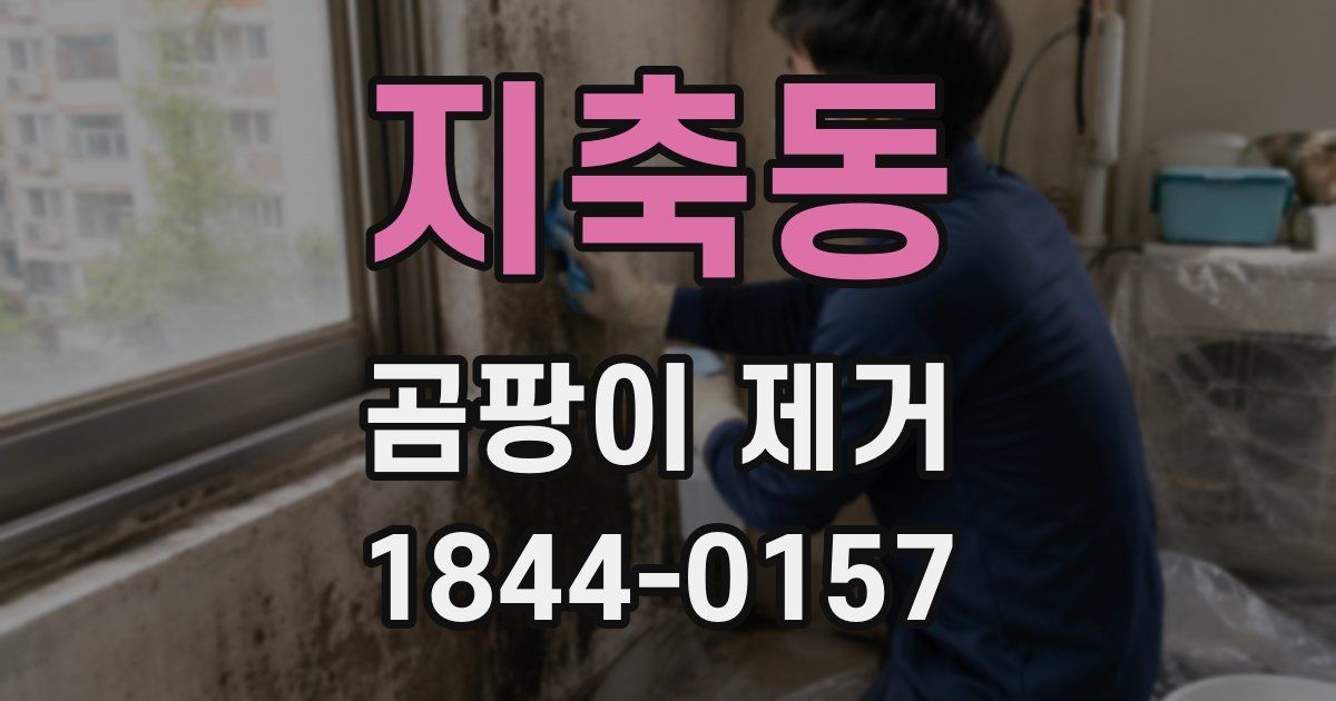 지축동 곰팡이 제거