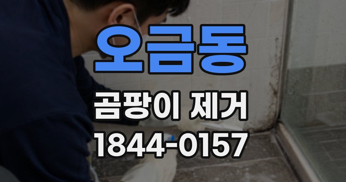 오금동 곰팡이 제거