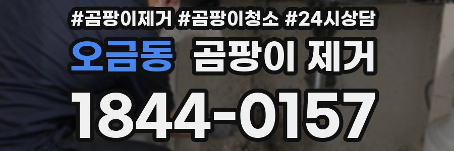 오금동 곰팡이 제거