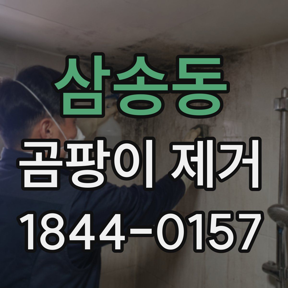 삼송동 곰팡이 제거