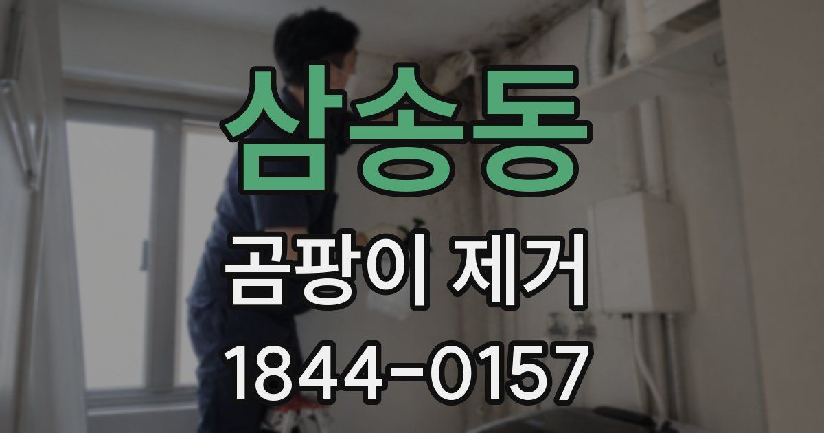 삼송동 곰팡이 제거