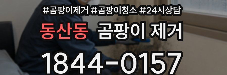 동산동 곰팡이 제거