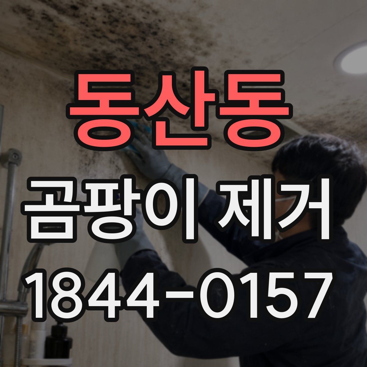 동산동 곰팡이 제거